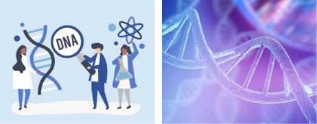 Illustrazione sui tumori genetici e il DNA