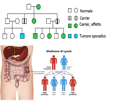 Schema sulla sindrome di Lynch e la familiarità